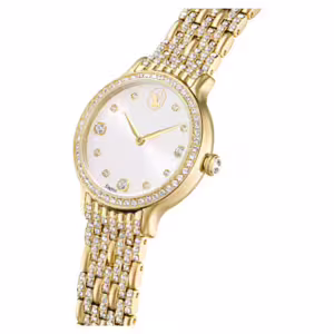 Laikrodžiai Swarovski Imber 5718169