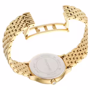 Laikrodžiai Swarovski Imber 5718169